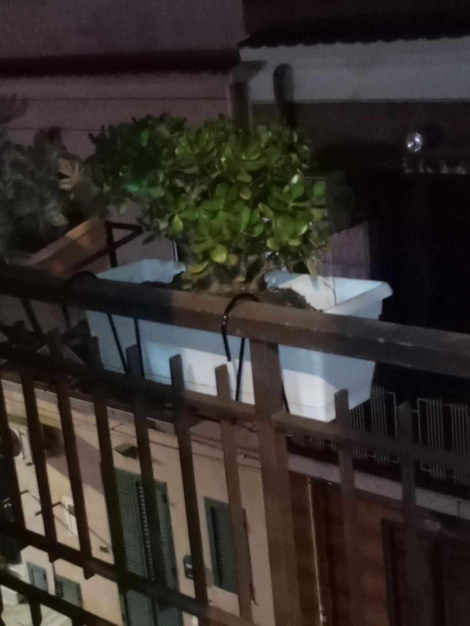 伊索拉戴里费米尼 Casa Alice酒店 外观 照片